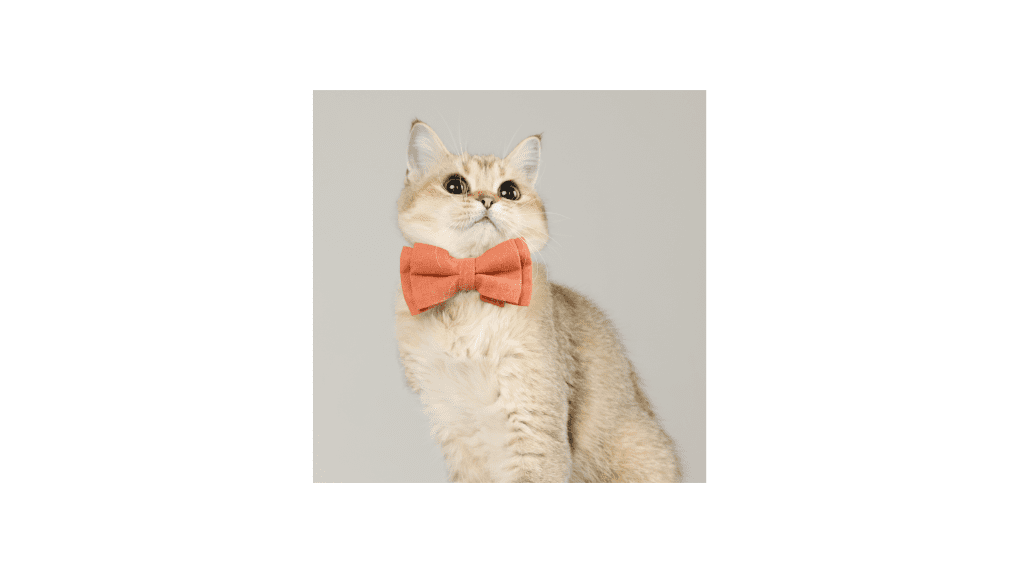 Infant-grade Cotton Cat Bell Collar